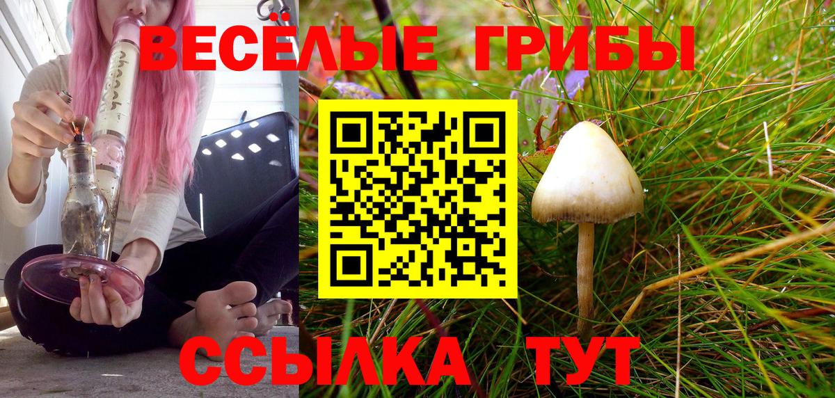 Галлюциногенные грибы Psilocybine cubensis  Вход с VPN  Солнечногорск 